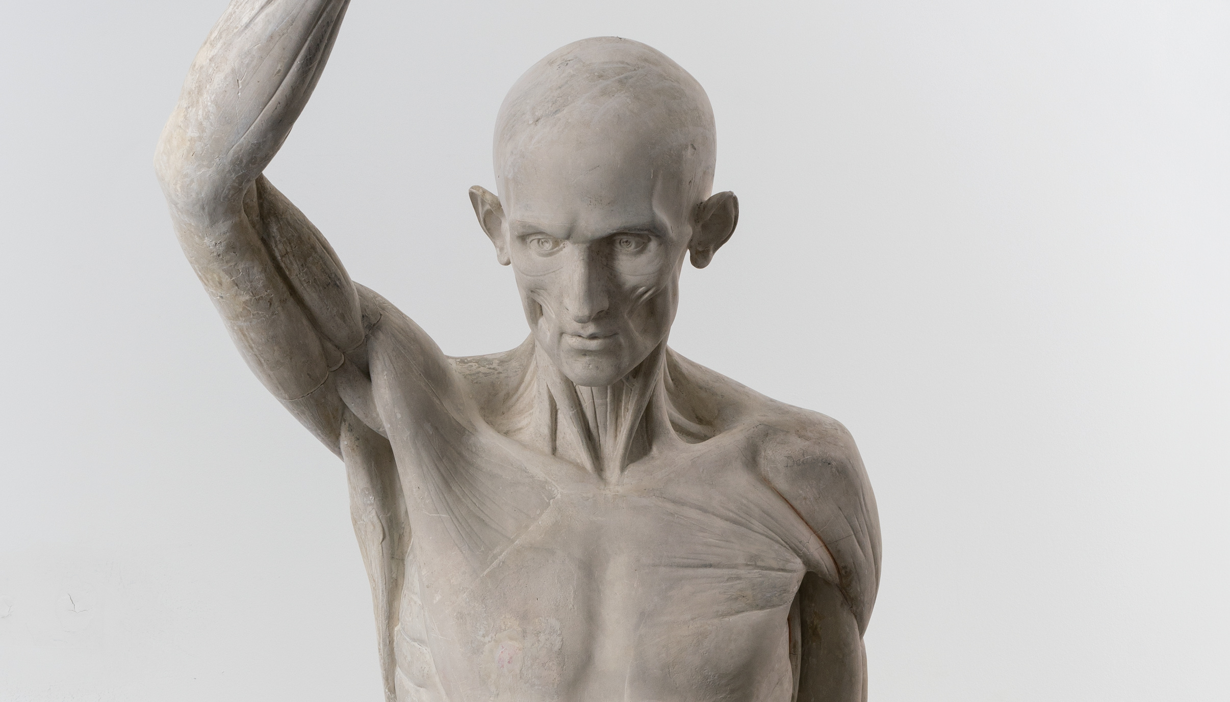 Houdon, L'Ecorché