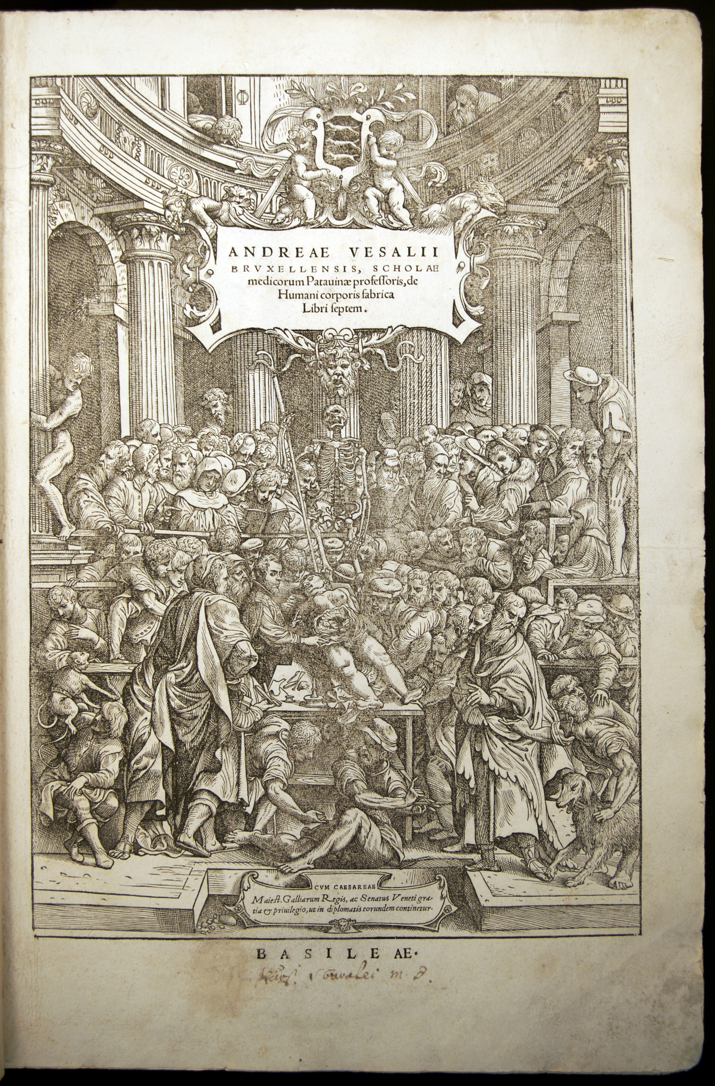 Vésale, De Humani Corporis Fabrica, frontispice