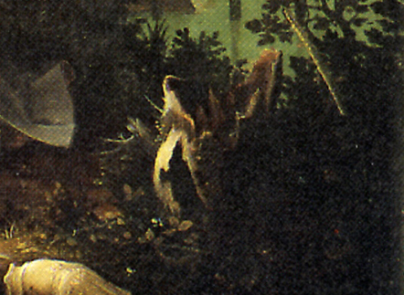 Lucas de Leyde, Loth, détail. La souche
