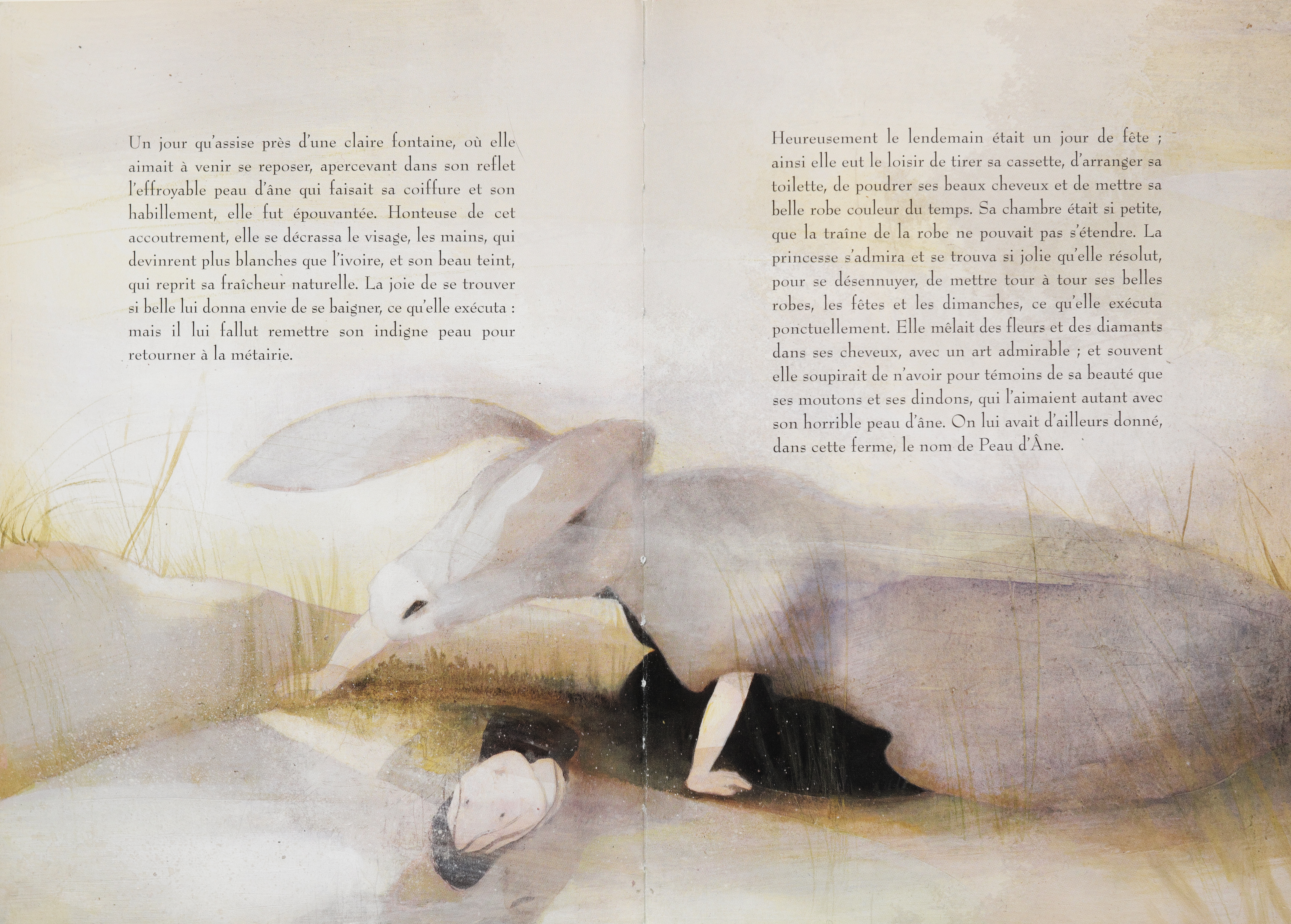 Fig. 4. Peau d’Âne, d’après l’œuvre de Charles Perrault, illustrations de Claire Degans, Champigny-sur-Marne, © Éditions Lito, 2005