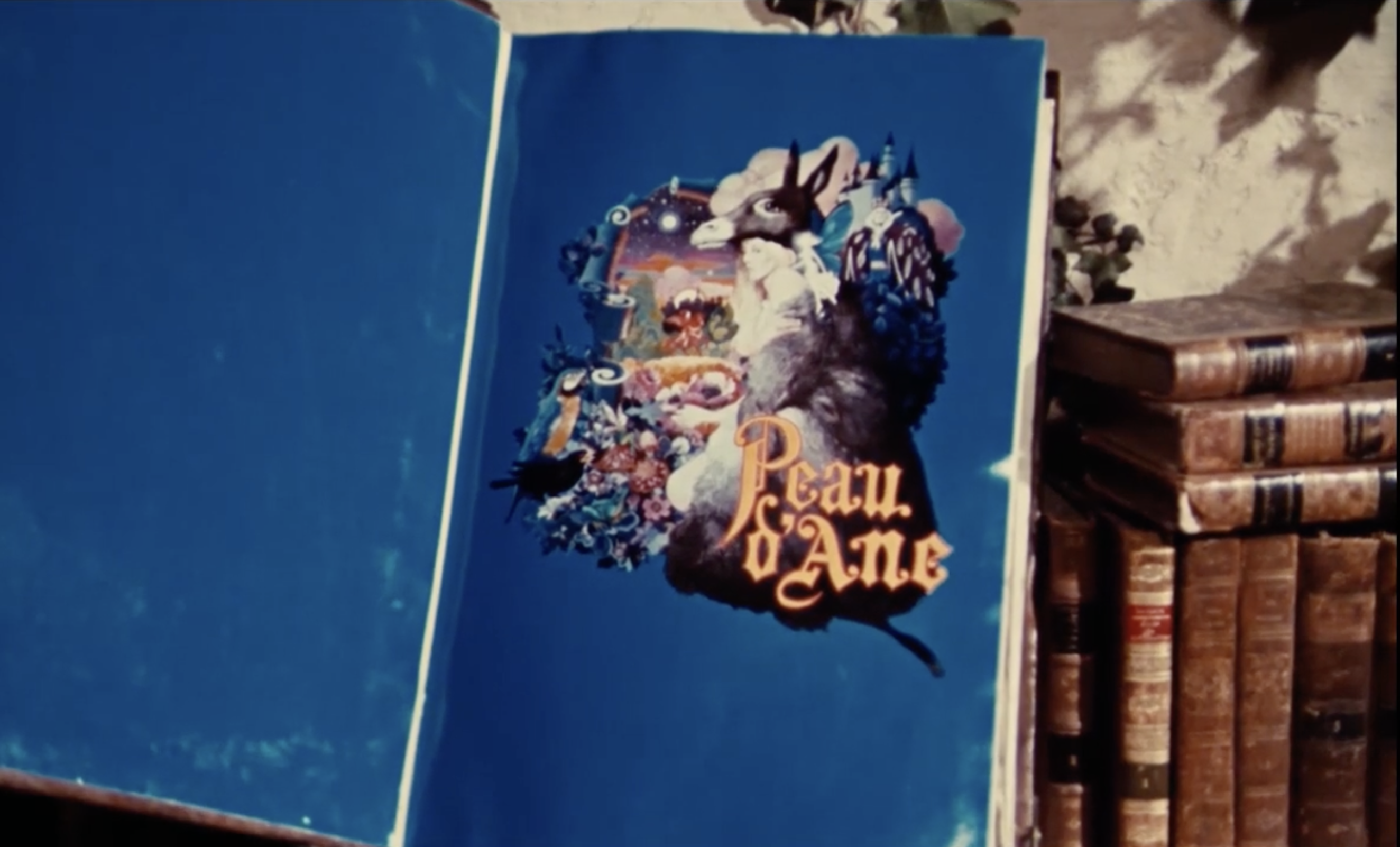 Fig. 6. Générique du film : un livre s’ouvre (Jacques Demy, Peau d’âne, 0’2’’51)