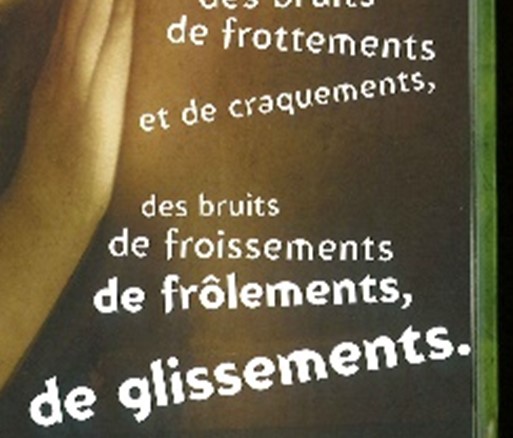 Fig. 4. Neil Gaiman, Des Loups dans les murs, dessins de Dave McKean, Delcourt, 2003, p. ?.