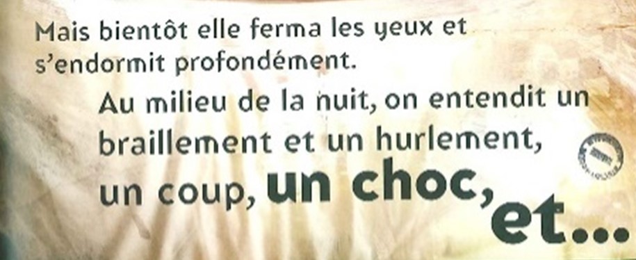 Fig. 6. Neil Gaiman, Des Loups dans les murs, dessins de Dave McKean, Delcourt, 2003, p. ?.