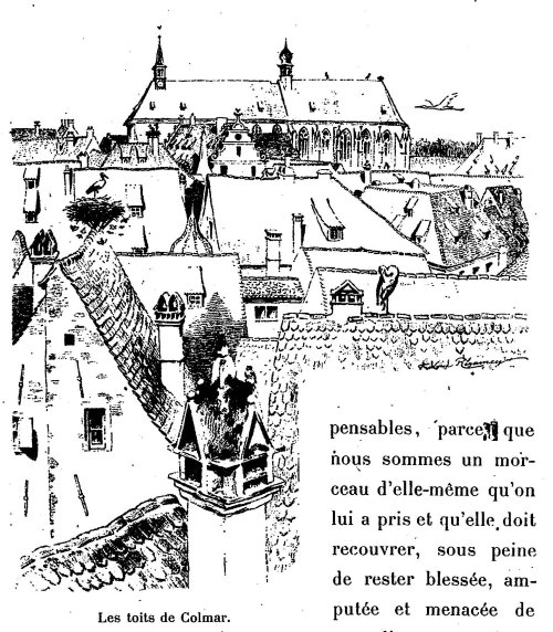 Regamey, Au pays des cigognes, 1
