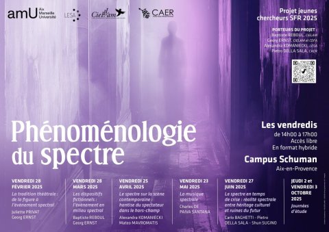 Affiche phénoménologie du spectre