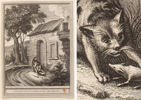 Le Vieux Chat La Jeune Souris La Fontaine Desaint Et Saillant 1755 Oudry Utpictura18