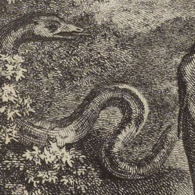 Edmond perd un bras (Paysan perverti,  Esprit 1782, fig71) - Binet
