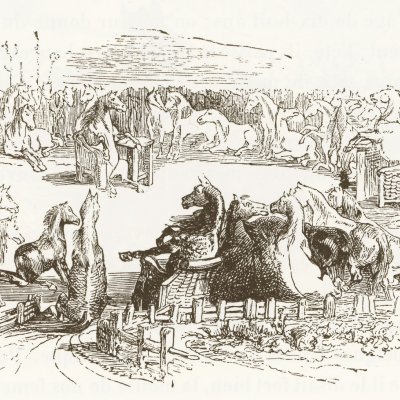 Le Conseil des Houyhnhnms (Gulliver, Garnier 1873) - Granville