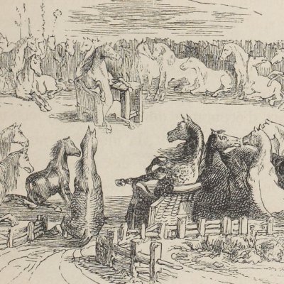 Le Conseil des Houyhnhnms (Gulliver, Garnier 1838) - Granville