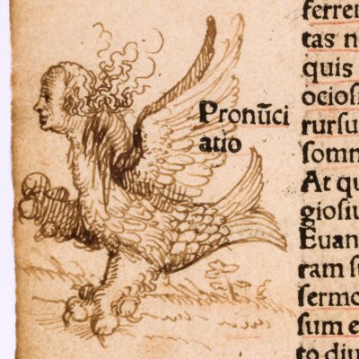 Chimère (Éloge de la Folie) - Holbein