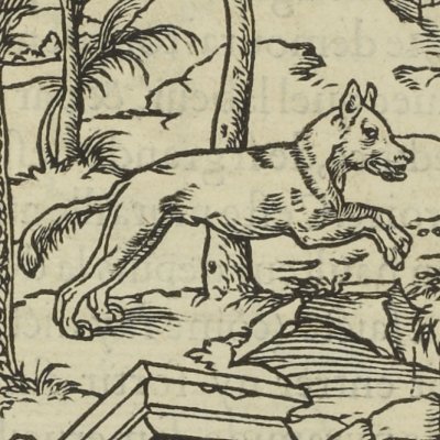 Un loup apparaît (Songe de Poliphile, 1546, F4r) - Jean Goujon