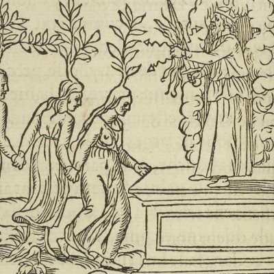 Les Héliades changées en arbres (Songe de Poliphile, 1546, F61v) - Jean Goujon