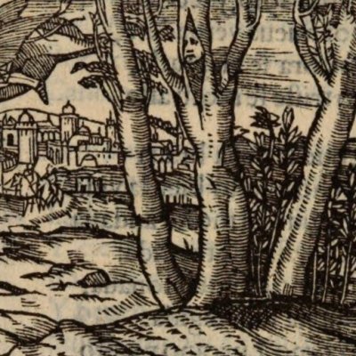 Roger dans l’île d’Alcine (Roland furieux, Anvers Nucio 1554, ch6)