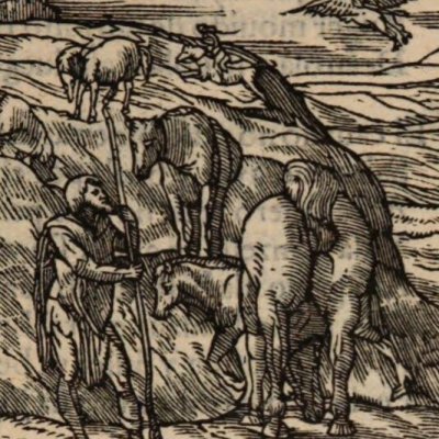 Angélique chez le berger. Roland tue l’orque (Roland furieux, Anvers Nucio 1554, ch11)