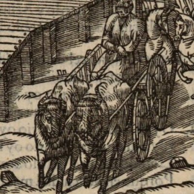 Griffon sur la charrette d’infamie (Roland furieux, Anvers Nucio 1554, ch17)