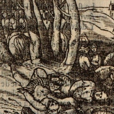 Cloridan & Dardinel morts. Guidon & Marphise (Roland furieux, Anvers Nucio 1554, ch19)