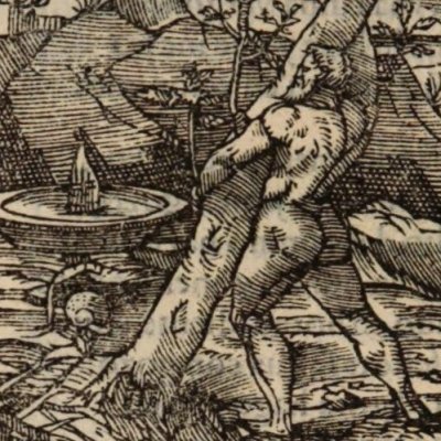 Roland fou arrache un arbre (Roland furieux, Anvers Nucio 1554, ch23)