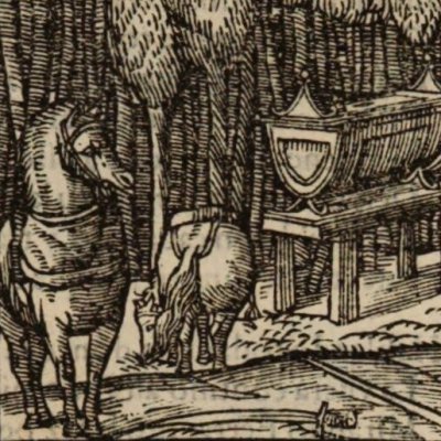 Roger & Marphise sont frères (Roland furieux, Anvers Nucio 1554, ch36)