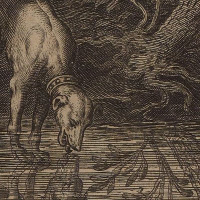 Narcisse (Les Images…, Philostrate, éd. Vigenère 1637)