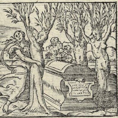 Héliades muées en arbres (Métamorphose Lyon 1557) - Bernard Salomon