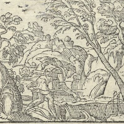 Narcisse épris de sa propre beauté (Métamorphose Lyon 1557) - Bernard Salomon