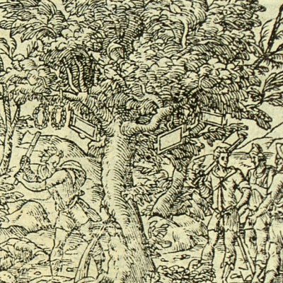 Érysichthon abat un arbre sacré de Cérès (Métamorphose Lyon 1557) - B. Salomon