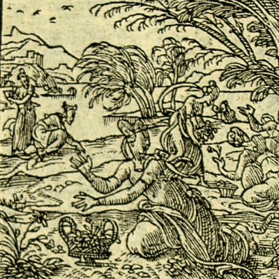 Eurydice mordue par un serpent (Métamorphose Lyon 1557) - Bernard Salomon