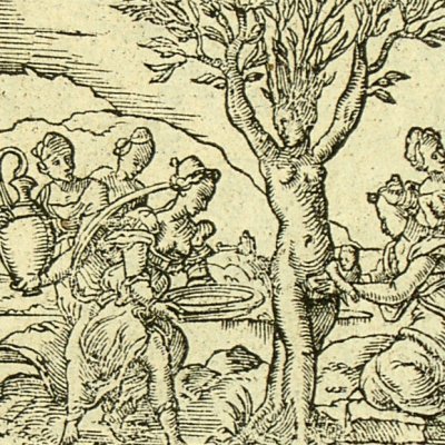 Myrrha changed into a tree (Metamorphose Lyon 1557) - Bernard Salomon