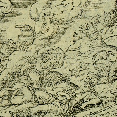 Adonis mué en fleur (Métamorphose Lyon 1557) - Bernard Salomon