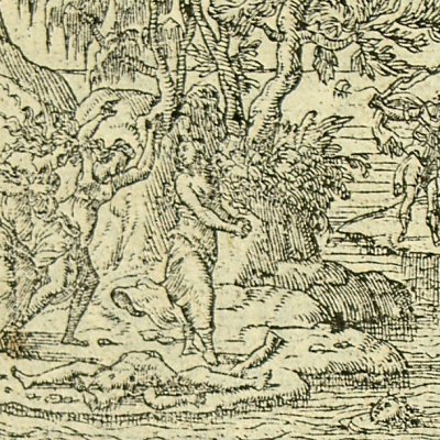 La langue et lyre d'Orphée (Métamorphose Lyon 1557) - Bernard Salomon