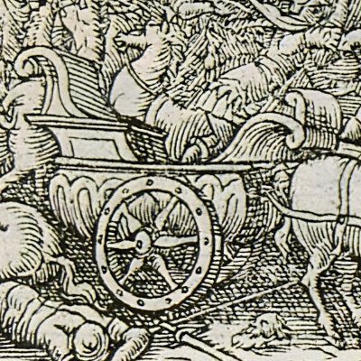  Cygnus changé en cygne (Métamorphose Lyon 1557) - Bernard Salomon