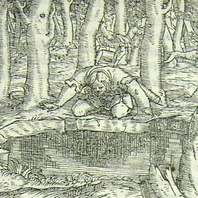 Narcisse à la fontaine (L. Dolce Trasformationi Venise 1553)