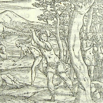 Erysichthon abat un arbre sacré de Cérès (L. Dolce Trasformationi Venise 1553)