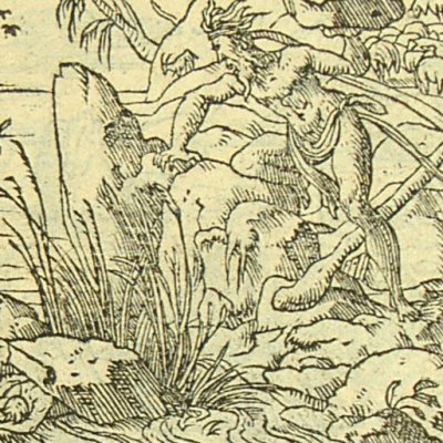 Acis changé en fleuve (Métamorphose Lyon 1557) - Bernard Salomon