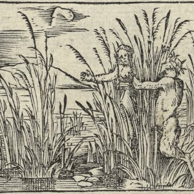 Syrinx changée en roseaux (Métamorphose Lyon 1557) - Bernard Salomon