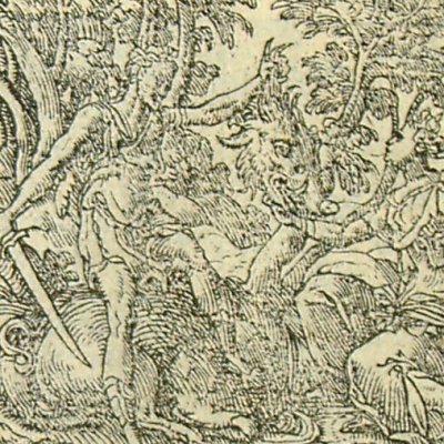 Méléagre et Atalante (Métamorphose Lyon 1557) - Bernard Salomon