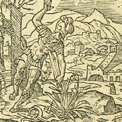 Le suicide d’Ajax (Métamorphose Lyon 1557) - Bernard Salomon