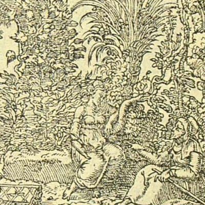 Vertumne et Pomone (Métamorphose Lyon 1557) - Bernard Salomon