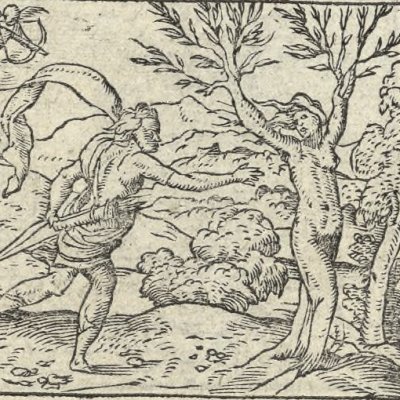 Daphné changée en laurier (Métamorphose Lyon 1557) - Bernard Salomon