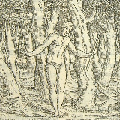 Tirésias se change en femme (L. Dolce Trasformationi Venise 1553)