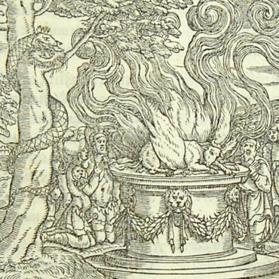 Le Serpent de Calchas & le sacrifice d’Iphigénie (L. Dolce Trasf. Venise 1553)