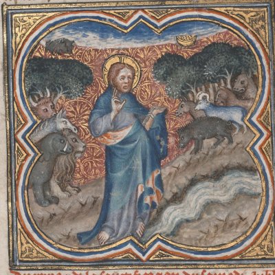 La création des animaux (Bible historiale de Petrus Comestor, F8v) - Jean Bondol