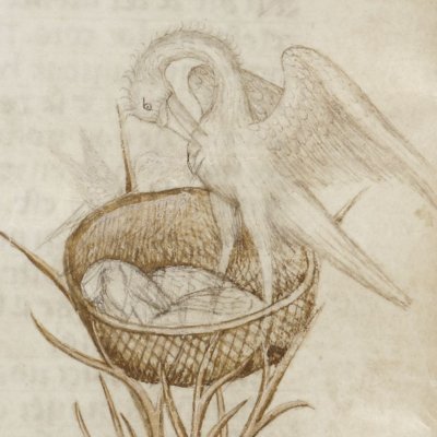 Bohort voit un oiseau ressusciter ses oisillons de son sang (Lancelot 343, F°40v)