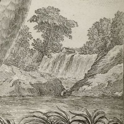 Plongeon à gorge rouge (Voyage en Sibérie Debure 1768) - Caresme de Fécamp