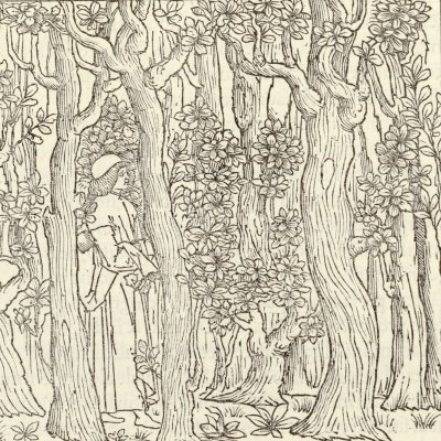 Poliphile in the forest (Hypnerotomachia 1499, p. 14)