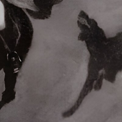 Hugo Baskerville et le chien de l’enfer (Chien des Baskerville 1901) - Paget