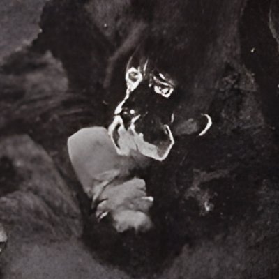 Holmes tue le chien qui s’était jeté sur Sir Henry (Baskerville 1901) - Paget