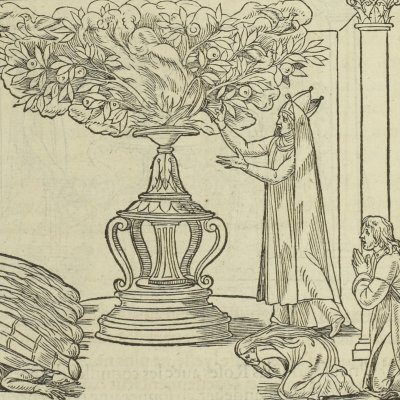 Le rosier aux colombes (Songe de Poliphile, 1546, F81v) - Jean Goujon