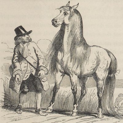 Gulliver rencontre un Houyhnhnm (Gulliver, Garnier 1838) - Granville