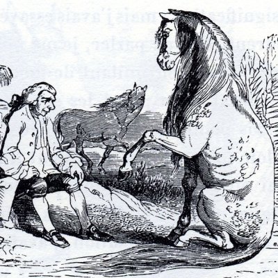 Gulliver se repose avec un Houyhnhnm (Gulliver, Garnier 1873) - Granville